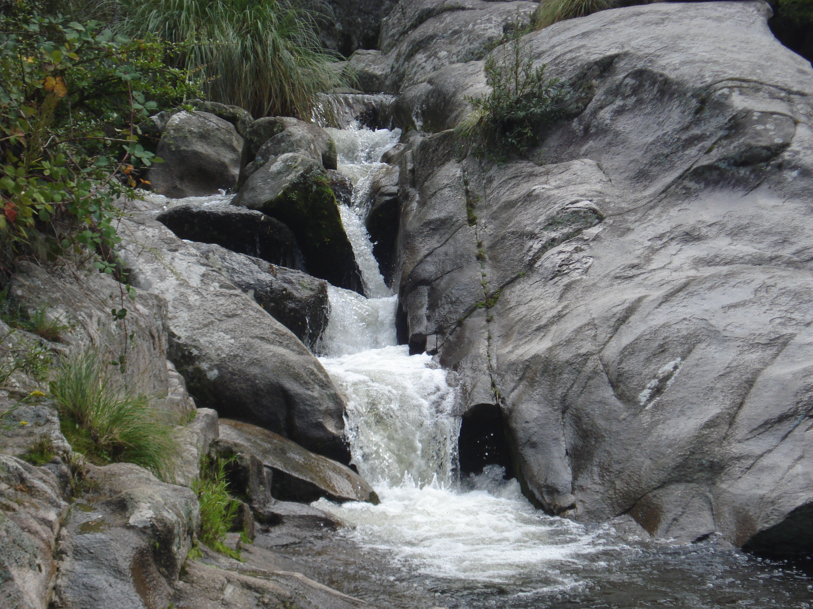 fotos/2011 - Los Reartes/DSC00516.JPG